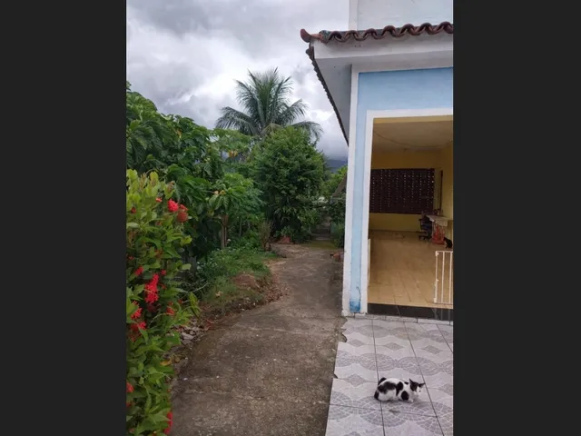 Imagem 6: Terreno amplo com 3 casas no mesmo quintal em Campo Grande
