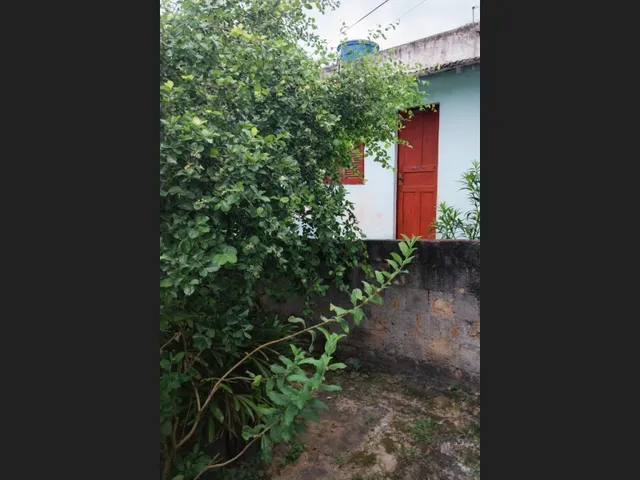 Imagem 13: Terreno amplo com 3 casas no mesmo quintal em Campo Grande