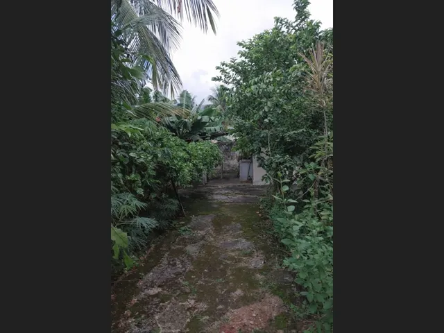 Imagem 15: Terreno amplo com 3 casas no mesmo quintal em Campo Grande