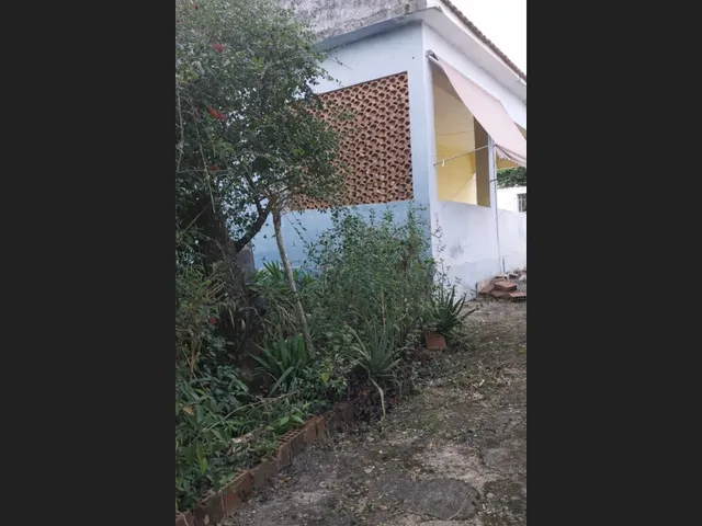 Imagem 9: Terreno amplo com 3 casas no mesmo quintal em Campo Grande