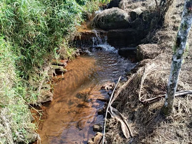 Imagem 5: Sítio em Paraibuna