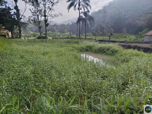 Imagem 8: Sítio em Paraibuna