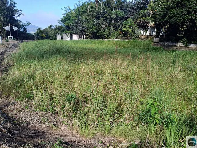 Imagem 9: Sítio em Paraibuna