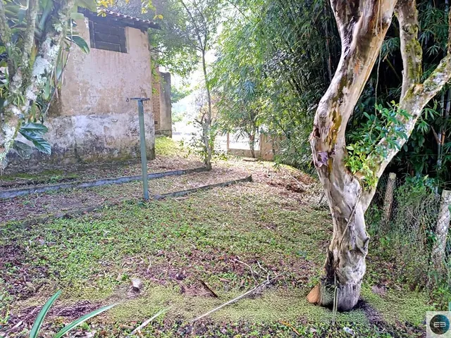 Imagem 10: Sítio em Paraibuna