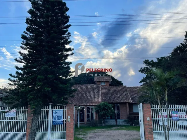 Imagem: Pelegrino Imóveis aluga casa na Pinvest