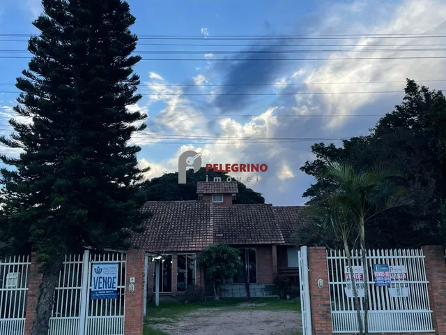 Imagem 6: Pelegrino Imóveis aluga casa na Pinvest em Tapes