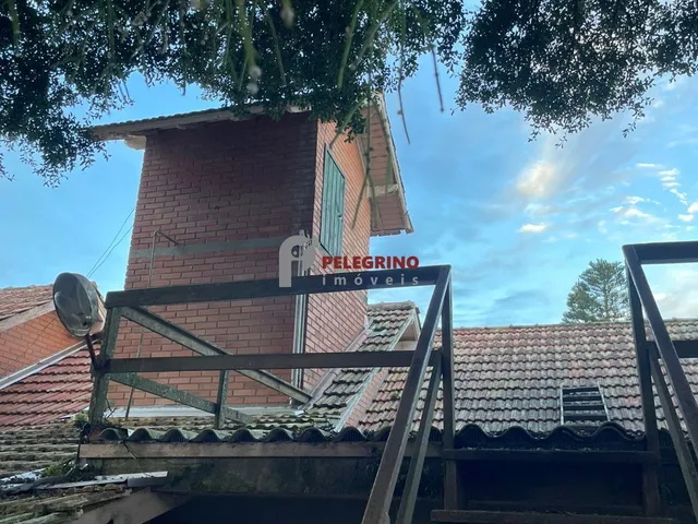 Imagem 16: Pelegrino Imóveis aluga casa na Pinvest em Tapes