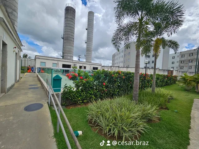 Imagem 8: APARTAMENTO RESIDENCIAL em SALVADOR - BA, JARDIM DAS MARGARIDAS
