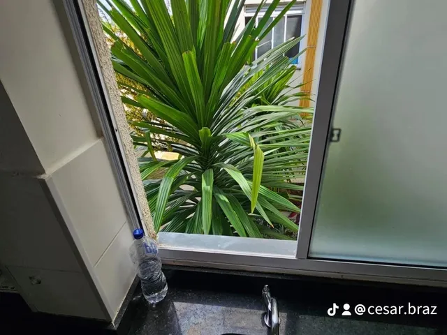 Imagem 13: APARTAMENTO RESIDENCIAL em SALVADOR - BA, JARDIM DAS MARGARIDAS