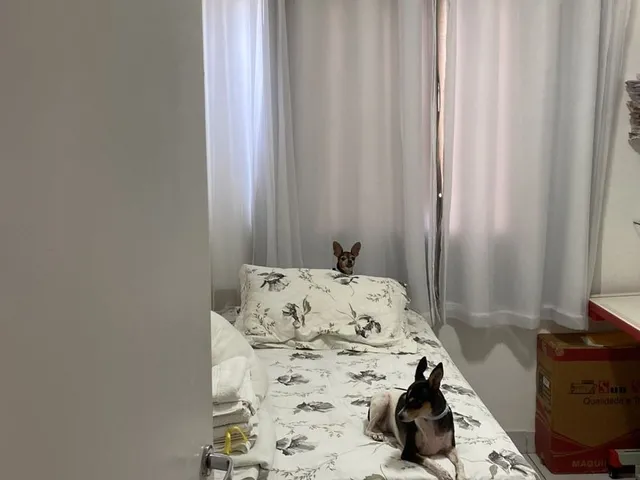 Imagem 13: APARTAMENTO RESIDENCIAL em SALVADOR - BA, JARDIM DAS MARGARIDAS