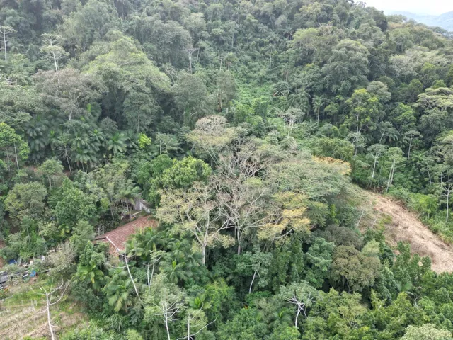 Imagem 5: Lote/Terreno - Itoupavazinha - Blumenau