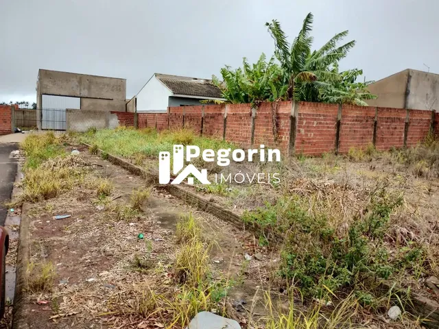 Imagem 11: Terreno 517,45M² Jardin Novo Horizonte Mandaguari-Pr
