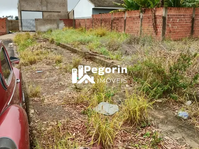 Imagem 5: Terreno 517,45M² Jardin Novo Horizonte Mandaguari-Pr