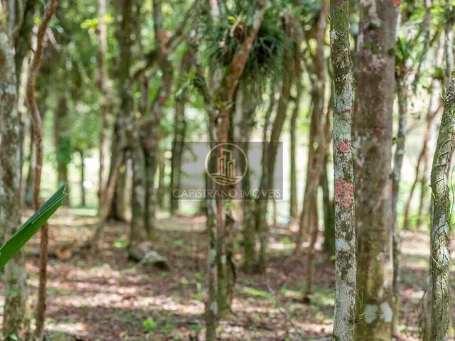 Imagem 13: Condomínio fechado de Chácaras em Camboriú