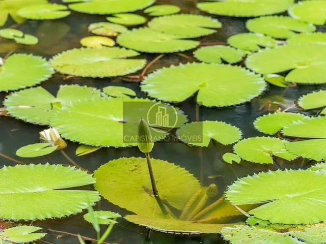 Imagem 3: Condomínio fechado de Chácaras em Camboriú