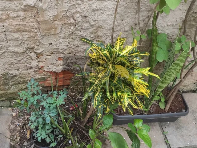 Imagem 14: Apartamento Térreo em Centro, Balneário Camboriú/SC