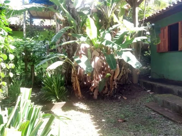 Imagem 3: Vendo 3 Casas em Itacaré Ba