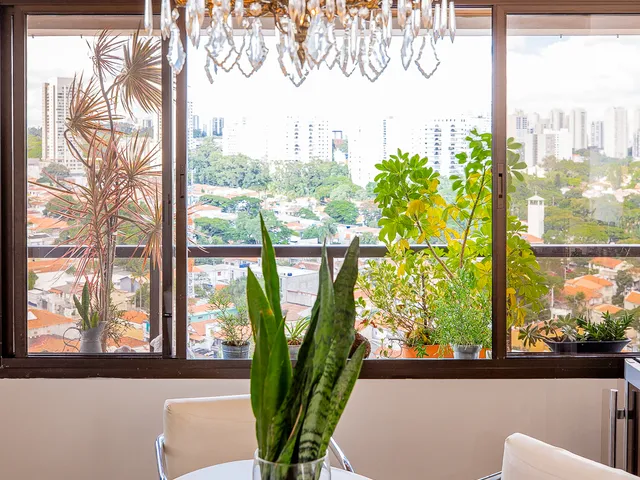 Imagem 6: Apartamento À Venda no Bairro Chácara Santo Antônio (Zona Sul) em São Paulo/Sp