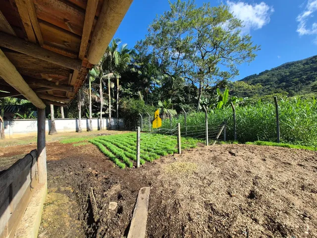 Imagem 16: Casa com espaço para cavalos em Pomerode-SC