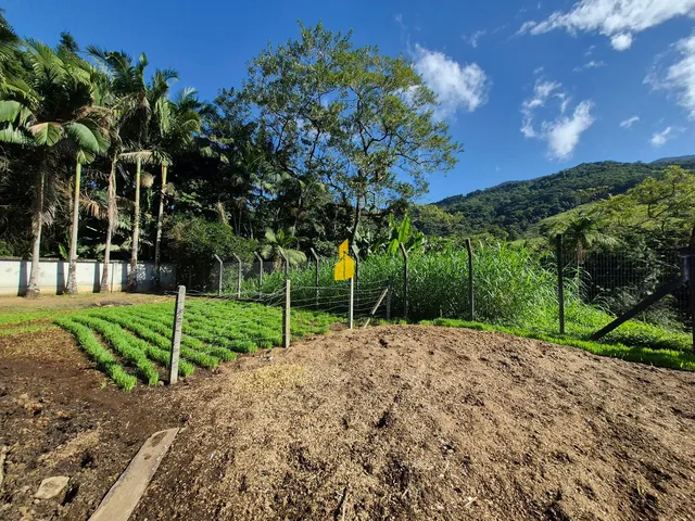 Imagem 4: Casa com espaço para cavalos em Pomerode-SC