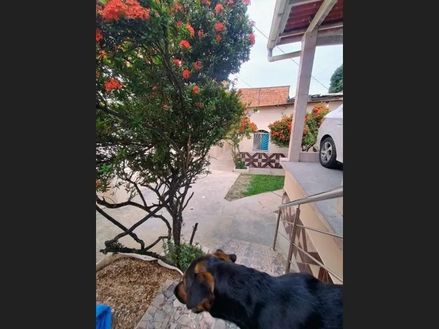 Imagem 3: VENDO NO ALVORADA