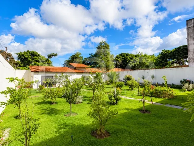 Imagem 2: Casa Solta - Olho D'Água