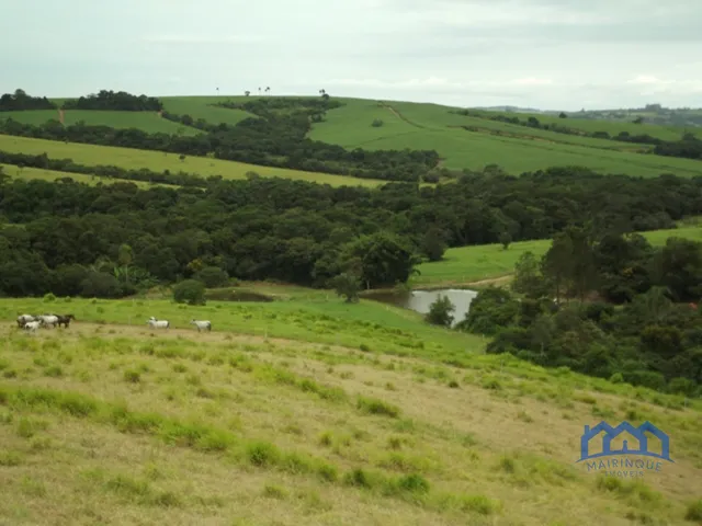 Imagem: Sítio/Fazenda à Venda, 15 alqueires por