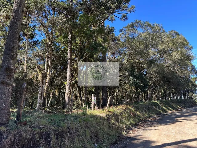 Imagem: Sítio com 8.310 m², no Lajeado, apenas