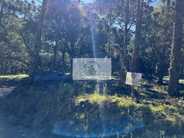 Imagem 6: Sítio com 8.310 m², no Lajeado, apenas 300 metros do asfalto, aceita financiamento
