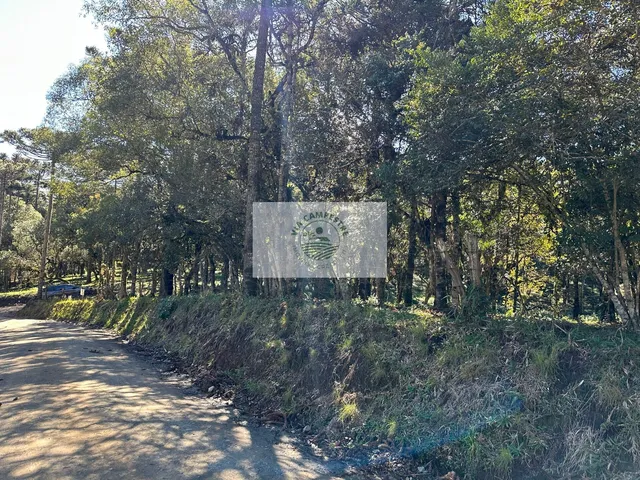 Imagem 5: Sítio com 8.310 m², no Lajeado, apenas 300 metros do asfalto, aceita financiamento