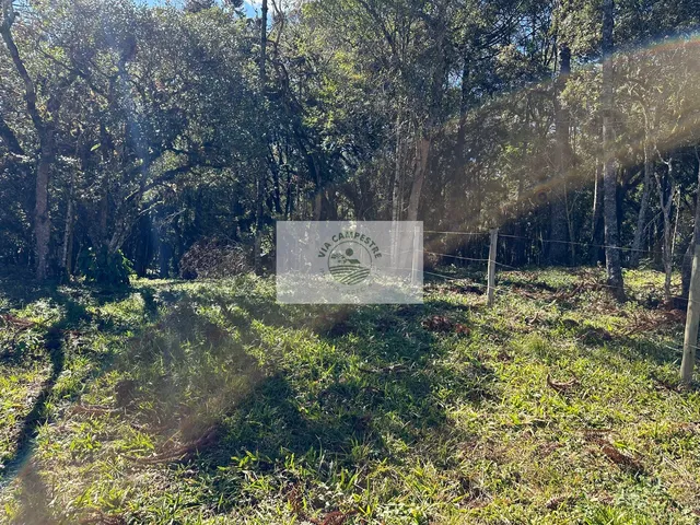 Imagem 4: Sítio com 8.310 m², no Lajeado, apenas 300 metros do asfalto, aceita financiamento