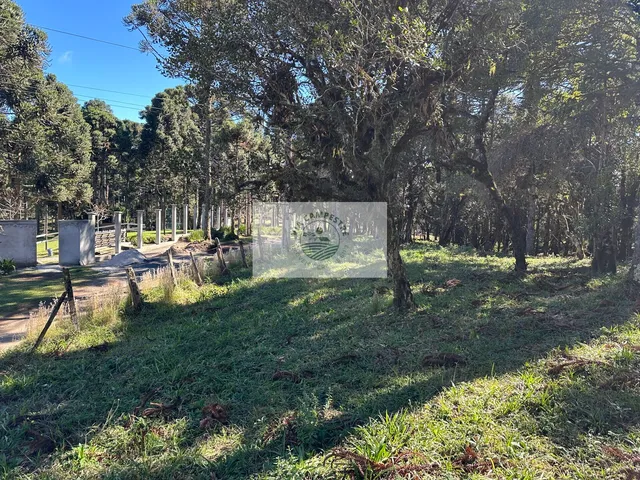 Imagem 15: Sítio com 8.310 m², no Lajeado, apenas 300 metros do asfalto, aceita financiamento