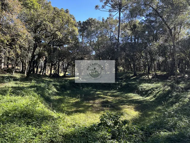 Imagem 12: Sítio com 8.310 m², no Lajeado, apenas 300 metros do asfalto, aceita financiamento
