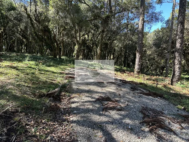 Imagem 7: Sítio com 8.310 m², no Lajeado, apenas 300 metros do asfalto, aceita financiamento