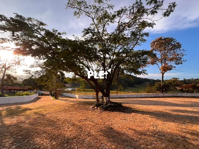 Imagem 3: FAZENDA COMPLETA EM PEDRO LEOPOLDO 53 HECTARES DE OPORTUNIDADE E QUALIDADE DE VI