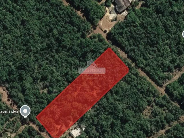 Imagem 3: Lote - 2.000 m² quitado - Vale da Cachoeira