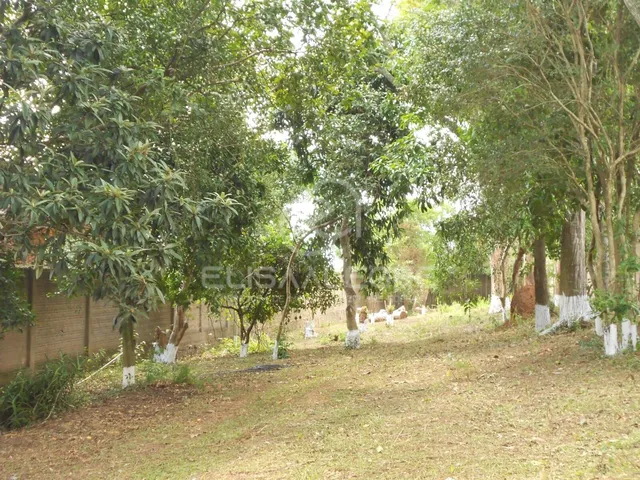 Imagem 12: Terreno na Bela Vista em Sapucaia do Sul