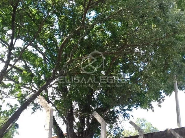 Imagem 2: Terreno na Bela Vista em Sapucaia do Sul