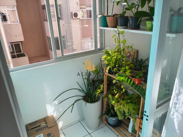 Imagem 5: Apartamento em Capoeiras, Florianópolis/SC