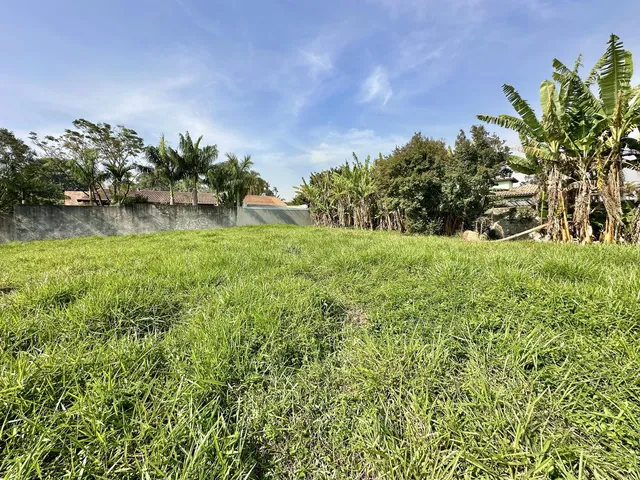 Imagem 14: Terreno em Granja Viana, São Paulo - Lote 1.121M² com Linda Vista, Pronto para Construir