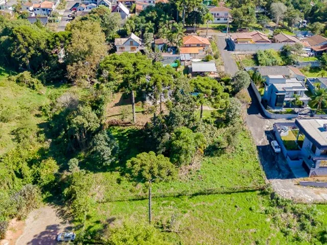 Imagem: Pertinho do Parque Tingui, Escola Anjo da