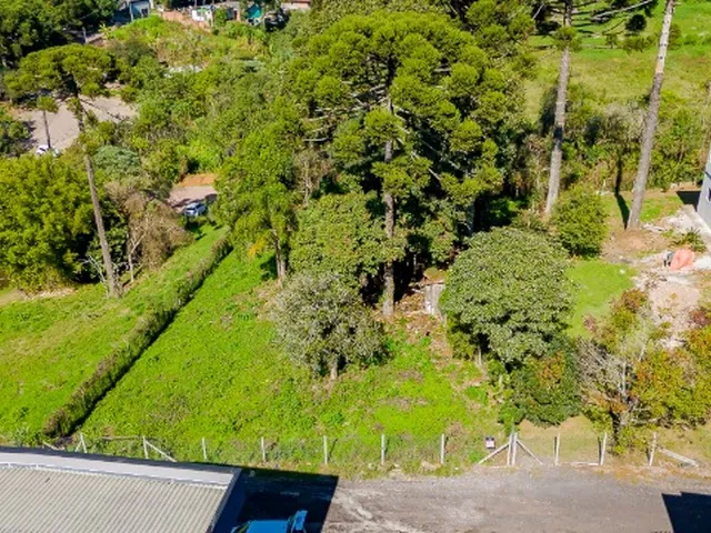 Imagem 9: Pertinho do Parque Tingui, Escola Anjo da Guarda e Festval