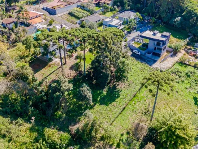 Imagem 14: Pertinho do Parque Tingui, Escola Anjo da Guarda e Festval