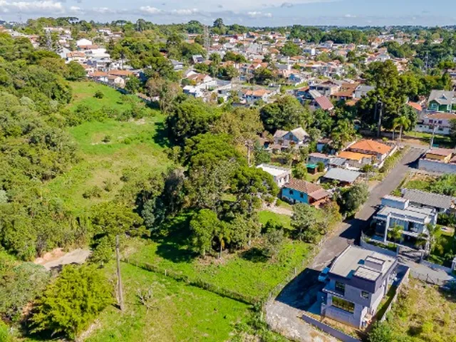 Imagem 8: Pertinho do Parque Tingui, Escola Anjo da Guarda e Festval