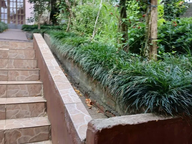 Imagem 13: Casa fundos - Vila Gilcy - Ferraria - Campo Largo