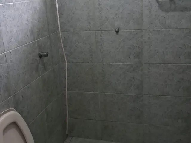 Imagem 15: Casa fundos - Vila Gilcy - Ferraria - Campo Largo