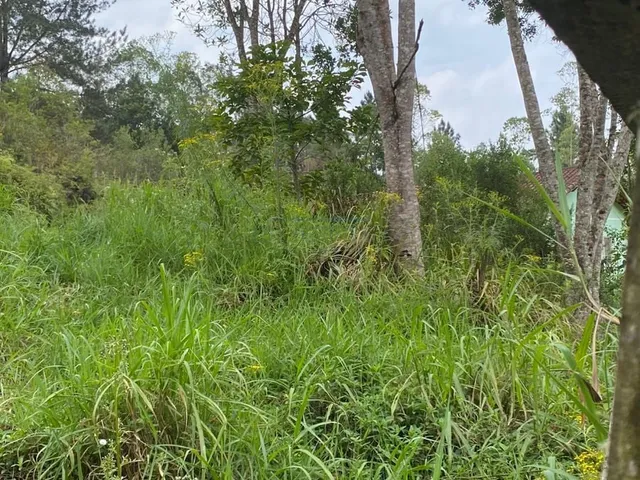 Imagem 3: Terreno de 1.621,00m², à venda em Suzano - SP