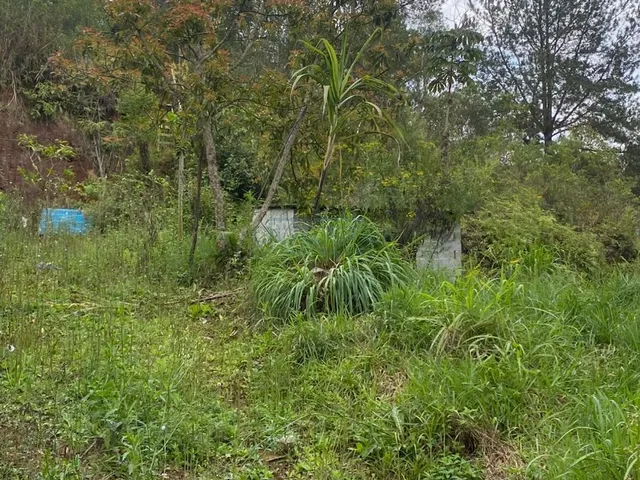 Imagem 2: Terreno de 1.621,00m², à venda em Suzano - SP