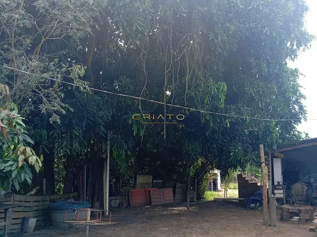 Imagem 3: Chácara Conquista - 45km de Anápolis