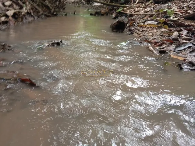 Imagem 10: Chácara Conquista - 45km de Anápolis